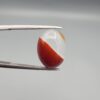 An 8.75-carat natural dual-colored Aqeeq gemstone, featuring a reddish lower half and a crystalline white upper layer, presented in a professional jeweler's box.