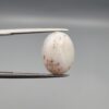 An 8.17-carat Shajari Dudhiya Aqeeq with a milky white translucent base and golden-brown tree-like dendritic patterns, held in jeweler's tweezers.