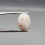 An 8.17-carat Shajari Dudhiya Aqeeq with a milky white translucent base and golden-brown tree-like dendritic patterns, held in jeweler's tweezers.