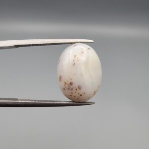 An 8.17-carat Shajari Dudhiya Aqeeq with a milky white translucent base and golden-brown tree-like dendritic patterns, held in jeweler's tweezers.