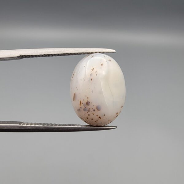 An 8.17-carat Shajari Dudhiya Aqeeq with a milky white translucent base and golden-brown tree-like dendritic patterns, held in jeweler's tweezers.