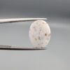 An 8.17-carat Shajari Dudhiya Aqeeq with a milky white translucent base and golden-brown tree-like dendritic patterns, held in jeweler's tweezers.