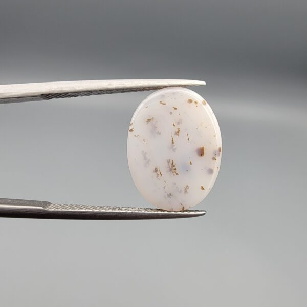 An 8.17-carat Shajari Dudhiya Aqeeq with a milky white translucent base and golden-brown tree-like dendritic patterns, held in jeweler's tweezers.