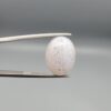 A 7.77-carat Shajari Dudhiya Aqeeq featuring a milky white translucent body with sharp black dendritic tree-like inclusions, displayed in a white jeweler's box.