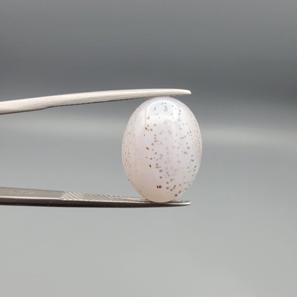 A 7.77-carat Shajari Dudhiya Aqeeq featuring a milky white translucent body with sharp black dendritic tree-like inclusions, displayed in a white jeweler's box.