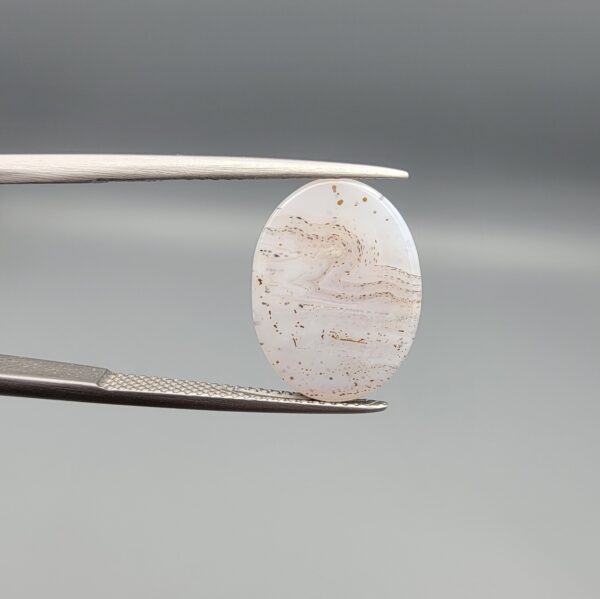 A 7.77-carat Shajari Dudhiya Aqeeq featuring a milky white translucent body with sharp black dendritic tree-like inclusions, displayed in a white jeweler's box.