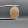 A 10.96-carat natural Shajari Aqeeq (Dendritic Agate) featuring intricate black tree-like manganese inclusions on a translucent white background, displayed in a jeweler's box.