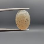 A 10.96-carat natural Shajari Aqeeq (Dendritic Agate) featuring intricate black tree-like manganese inclusions on a translucent white background, displayed in a jeweler's box.