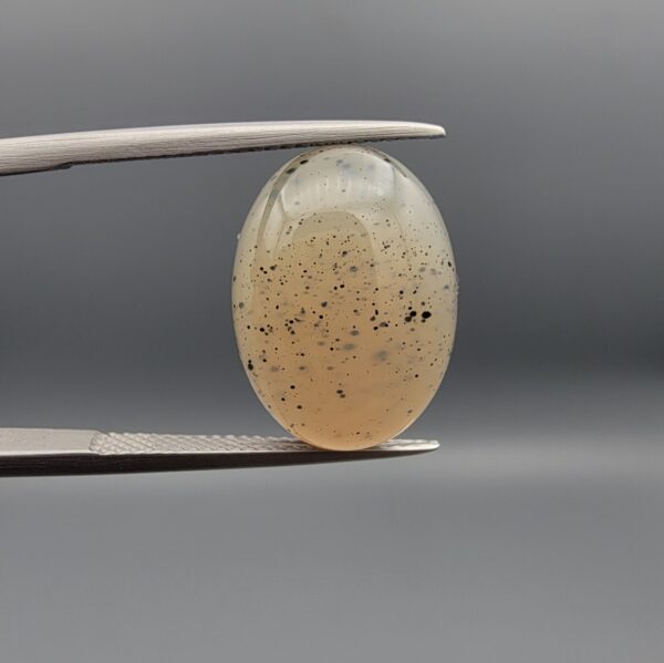 A 10.96-carat natural Shajari Aqeeq (Dendritic Agate) featuring intricate black tree-like manganese inclusions on a translucent white background, displayed in a jeweler's box.