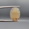 A 10.96-carat natural Shajari Aqeeq (Dendritic Agate) featuring intricate black tree-like manganese inclusions on a translucent white background, displayed in a jeweler's box.