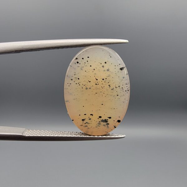 A 10.96-carat natural Shajari Aqeeq (Dendritic Agate) featuring intricate black tree-like manganese inclusions on a translucent white background, displayed in a jeweler's box.