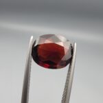 ​A natural 3.37-carat Red Garnet from Madagascar with a deep red sparkle and a polished oval faceted cut, held in professional jeweler's tweezers as shown in file 20260511_161141.jpg.