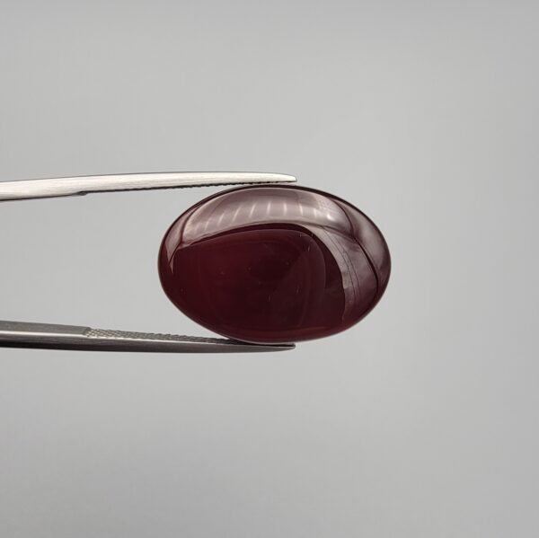 ​A massive 22.20-carat oval natural Yemeni carnelian agate cabochon held in tweezers. Without direct light, the gemstone displays an opaque, deep liver-brown tone, but under direct backlighting, it transforms into a fully translucent, deep crimson-red stone showing faint internal agate structure.