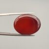 ​A massive 22.07-carat oval natural Yemeni carnelian agate cabochon held securely in tweezers. In normal lighting, the stone shows a smooth, glossy, deep liver-brown body, but under strong direct backlighting, it glows with a rich, uniform translucent reddish-crimson color.