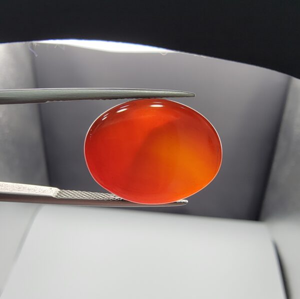 ​A premium 19.17-carat natural oval Yemeni carnelian agate cabochon held in tweezers. While appearing dark brown in flat shadow, strong backlighting transforms it into a brilliant, translucent fiery orange gemstone displaying elegant, natural curved agate zoning lines.