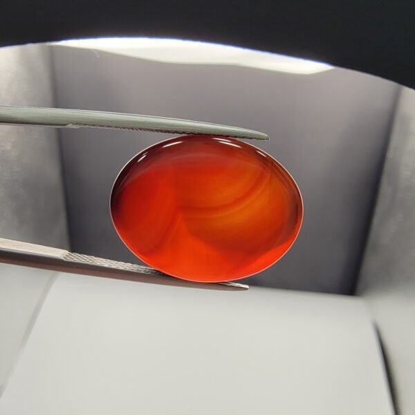 ​A premium 19.17-carat natural oval Yemeni carnelian agate cabochon held in tweezers. While appearing dark brown in flat shadow, strong backlighting transforms it into a brilliant, translucent fiery orange gemstone displaying elegant, natural curved agate zoning lines.