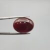 A massive 21.58-carat oval natural Yemeni carnelian agate cabochon held securely in tweezers. In normal lighting as seen in input_file_0.png, the stone shows a smooth, glossy, deep liver-brown body. Under strong direct backlighting in input_file_1.png and input_file_2.png, it glows with a rich, uniform translucent reddish-crimson color, revealing elegant natural parallel banding lines along its lower edge.