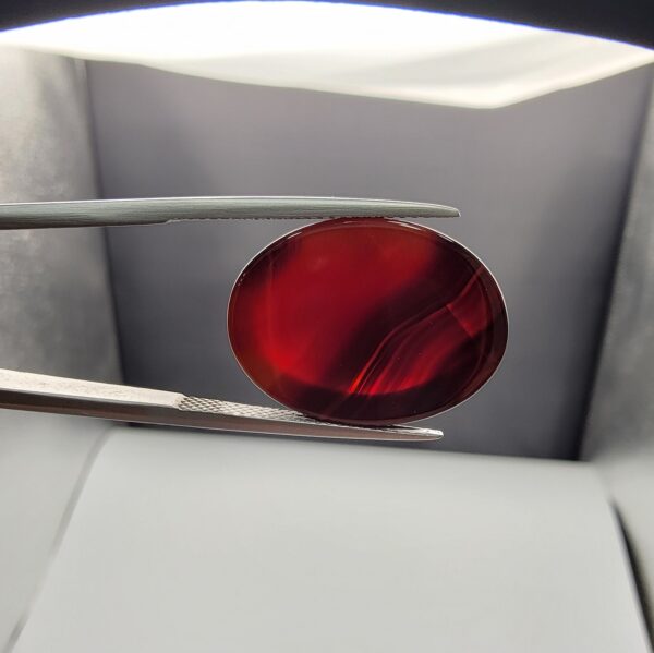 A massive 21.58-carat oval natural Yemeni carnelian agate cabochon held securely in tweezers. In normal lighting as seen in input_file_0.png, the stone shows a smooth, glossy, deep liver-brown body. Under strong direct backlighting in input_file_1.png and input_file_2.png, it glows with a rich, uniform translucent reddish-crimson color, revealing elegant natural parallel banding lines along its lower edge.