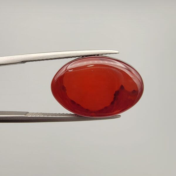 ​A premium 14.26-carat natural oval Yemeni carnelian agate cabochon held in tweezers. While appearing dark brown with a dense core in flat shadow, strong backlighting transforms it into a brilliant, translucent fiery orange gemstone displaying elegant, natural dendritic cloud-like agate zoning patterns along its lower and side edges.