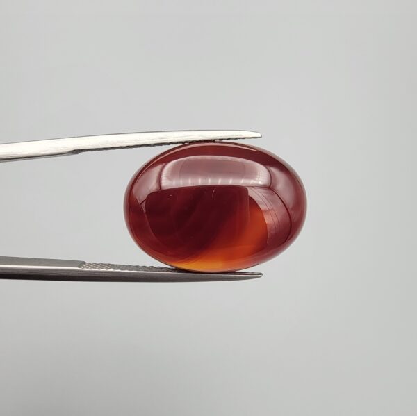 A premium 16.65-carat natural oval Yemeni carnelian agate cabochon held in tweezers. While appearing dark brown with a dense core in flat ambient lighting, strong backlighting transforms it into a brilliant, translucent fiery orange gemstone displaying elegant, natural curved agate zoning lines and parallel waterline patterns across its face.