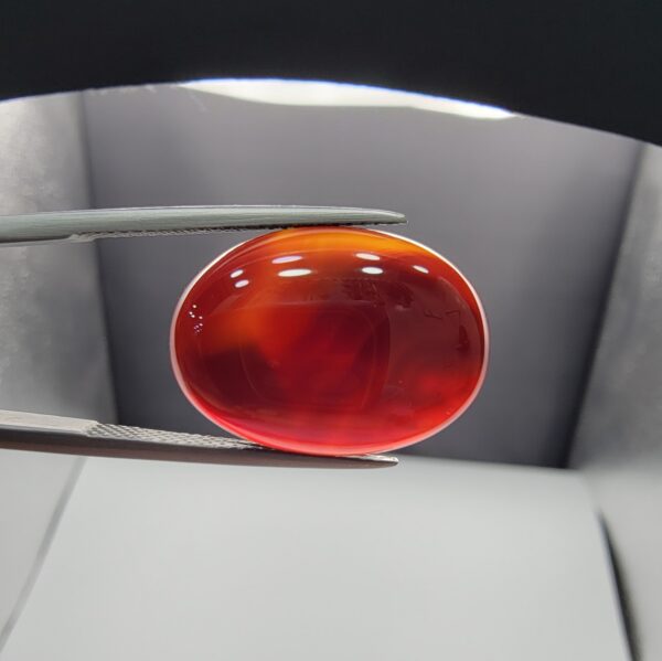 A premium 16.65-carat natural oval Yemeni carnelian agate cabochon held in tweezers. While appearing dark brown with a dense core in flat ambient lighting, strong backlighting transforms it into a brilliant, translucent fiery orange gemstone displaying elegant, natural curved agate zoning lines and parallel waterline patterns across its face.