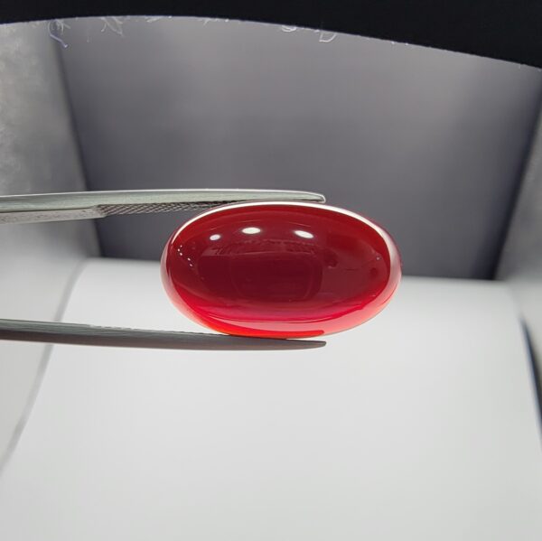 A premium 19.00-carat oval natural Yemeni carnelian agate cabochon held securely in tweezers. In normal lighting as seen in the first image, the stone shows a smooth, glossy, deep liver-brown body with a mirror-like finish. Under strong direct backlighting in the second image, it glows with a rich, uniform translucent reddish-crimson color across its entire surface.