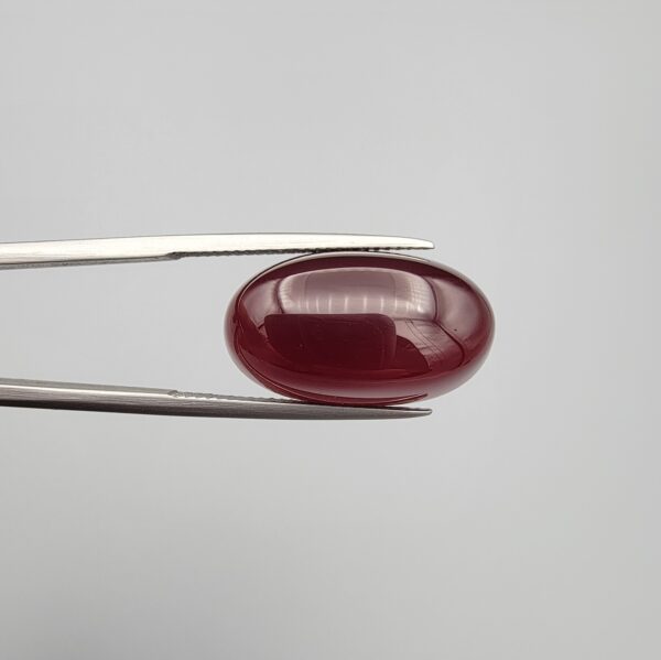 A premium 19.00-carat oval natural Yemeni carnelian agate cabochon held securely in tweezers. In normal lighting as seen in the first image, the stone shows a smooth, glossy, deep liver-brown body with a mirror-like finish. Under strong direct backlighting in the second image, it glows with a rich, uniform translucent reddish-crimson color across its entire surface.