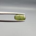 A beautiful 1.28-carat natural Green Sapphire gemstone held horizontally in professional steel gemstone tweezers against a smooth gray studio background. The loose Madagascar corundum gem features a unique faceted cushion cut with elongated sides, showcasing a bright, translucent olive-green body color filled with fine internal growth patterns and precise crown facet symmetry.