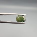 ​A premium, beautifully faceted 1.63-carat natural Green Sapphire gemstone held securely in metal tweezers against a clean, neutral grey background. The loose corundum gem showcases an expert oval cut with a well-proportioned table, displaying a rich, uniform olive-green color with fine, genuine internal crystal characteristics that verify its earth-mined origin.