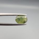 a premium, beautifully faceted 1.47-carat natural Green Sapphire gemstone is held securely in metal tweezers against a clean, neutral grey background. The loose corundum gem showcases an expert oval cut with a well-proportioned table, displaying a rich, uniform olive-green color with fine, genuine internal crystal characteristics that verify its earth-mined origin.