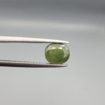 ​A premium, beautifully faceted 1.74-carat natural Green Sapphire gemstone is held securely in metal tweezers against a clean, neutral grey background. The loose corundum gem showcases an expert oval cut with a well-proportioned table, displaying a rich, uniform olive-green color with fine, genuine internal crystal characteristics that verify its earth-mined origin.
