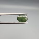 a premium, beautifully faceted 1.42-carat natural Green Sapphire gemstone is held securely in metal tweezers against a clean, neutral grey background. The loose corundum gem showcases an expert oval cut with a well-proportioned table, displaying a rich, uniform olive-green color with fine, genuine internal crystal characteristics that verify its earth-mined origin.