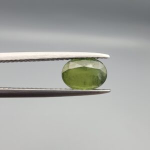 a premium, beautifully faceted 1.45-carat natural Green Sapphire gemstone is held securely in metal tweezers against a clean, neutral grey background. The loose corundum gem showcases an expert oval cut with a well-proportioned table, displaying a rich, uniform olive-green color with fine, genuine internal crystal characteristics that verify its earth-mined origin.