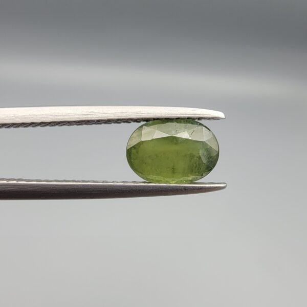 a premium, beautifully faceted 1.45-carat natural Green Sapphire gemstone is held securely in metal tweezers against a clean, neutral grey background. The loose corundum gem showcases an expert oval cut with a well-proportioned table, displaying a rich, uniform olive-green color with fine, genuine internal crystal characteristics that verify its earth-mined origin.