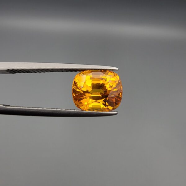 a premium, beautifully faceted 4.45-carat natural Vivid Orangish Yellow Sapphire gemstone is held securely in metal tweezers against a clean, neutral grey background. The loose cushion-cut corundum gem displays magnificent clarity and a highly saturated, rich golden-orange color with intense internal fire and brilliant light reflection.