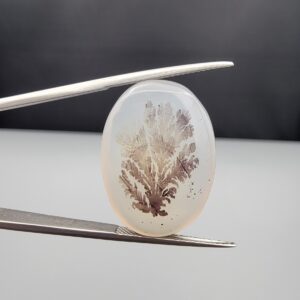 a premium, beautifully shaped 26.89-carat natural Milky Dendritic Agate gemstone is held securely in metal tweezers against a dual-toned black and grey background. The loose chalcedony cabochon showcases a well-proportioned oval silhouette, displaying a translucent, milky-white body color with a highly distinct, dark brown tree-like or fern-like dendritic inclusion pattern centered perfectly within the stone.