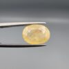 a premium, beautifully faceted 5.57-carat natural Yellow Sapphire gemstone is held securely in metal tweezers against a clean, neutral grey background. The loose corundum gem showcases an expert oval cut with a well-proportioned table, displaying a bright, uniform yellow color with fine, genuine internal crystal characteristics and natural silk feathers that verify its rare, unheated earth-mined origin.