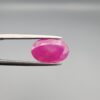 ​A premium, beautifully faceted 3.50-carat natural Ruby gemstone is held securely in metal tweezers against a clean, neutral grey background. The loose corundum gem showcases an expert oval cut with a well-proportioned table, displaying a vibrant pinkish-red color with fine, genuine internal crystal characteristics and natural silk inclusions that verify its rare, unheated earth-mined origin.