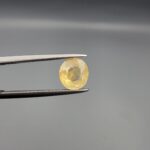 "Natural unheated Yellow Sapphire Pukhraj gemstone 2.42 carat rounded oval cut from Sri Lanka Ceylon held in tweezers showing natural inclusions"