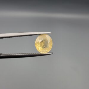 "Natural unheated Yellow Sapphire Pukhraj gemstone 2.42 carat rounded oval cut from Sri Lanka Ceylon held in tweezers showing natural inclusions"