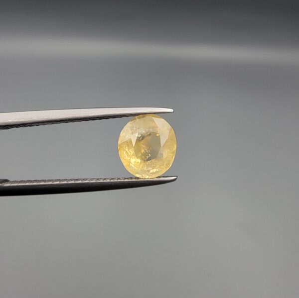 "Natural unheated Yellow Sapphire Pukhraj gemstone 2.42 carat rounded oval cut from Sri Lanka Ceylon held in tweezers showing natural inclusions"