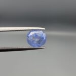 "Natural unheated Blue Sapphire Neelam gemstone 3.02 carat oval cut from Sri Lanka Ceylon held in tweezers showing cornflower blue color and natural inclusions"