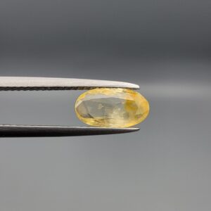 "Natural unheated Yellow Sapphire Pukhraj gemstone 1.80 carat oval cut from Sri Lanka Ceylon held in tweezers showing golden yellow color with natural inclusions"