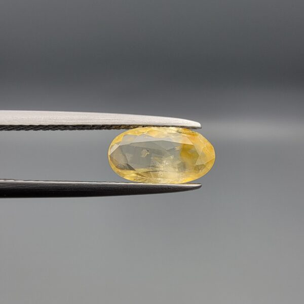 "Natural unheated Yellow Sapphire Pukhraj gemstone 1.80 carat oval cut from Sri Lanka Ceylon held in tweezers showing golden yellow color with natural inclusions"