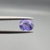 "Natural unheated Purple Sapphire Khooni Neelam gemstone 1.38 carat oval cut from Sri Lanka Ceylon held in tweezers showing vivid violet color and natural rust inclusions"