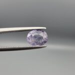 A premium, beautifully faceted 1.47-carat natural Purple Sapphire gemstone is held securely in metal tweezers against a clean, neutral grey background. The loose oval-cut corundum gem displays a soft lavender-purple hue with natural internal veil inclusions, serving as an indisputable signature of its rare unheated, earth-mined origin.