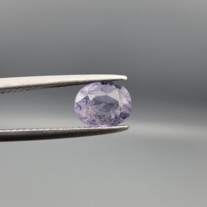 A premium, beautifully faceted 1.47-carat natural Purple Sapphire gemstone is held securely in metal tweezers against a clean, neutral grey background. The loose oval-cut corundum gem displays a soft lavender-purple hue with natural internal veil inclusions, serving as an indisputable signature of its rare unheated, earth-mined origin.