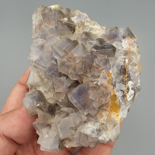 "Natural Fluorite crystal cluster specimen 1313 grams from Balochistan Pakistan showing large cubic purplish gray crystals with yellow limonite staining, held in hand"
