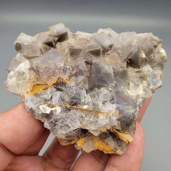 "Natural Fluorite crystal cluster specimen 1313 grams from Balochistan Pakistan showing large cubic purplish gray crystals with yellow limonite staining, held in hand"
