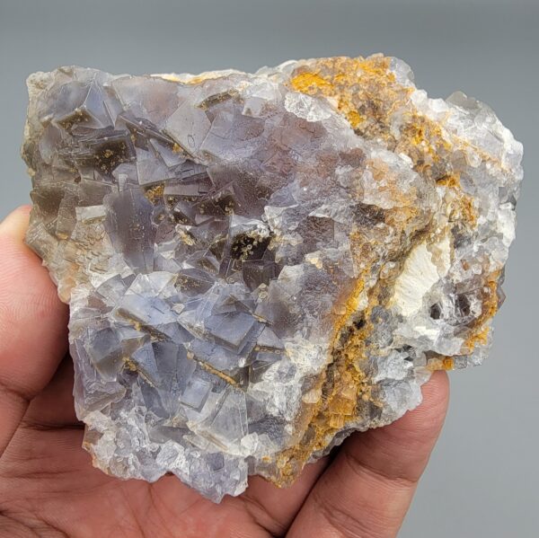 "Natural Fluorite crystal cluster specimen 1313 grams from Balochistan Pakistan showing large cubic purplish gray crystals with yellow limonite staining, held in hand"